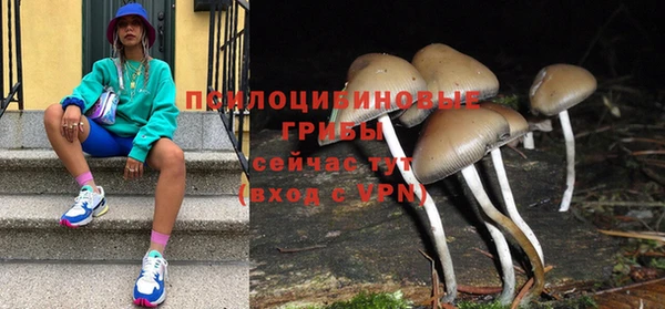 крисы Абаза