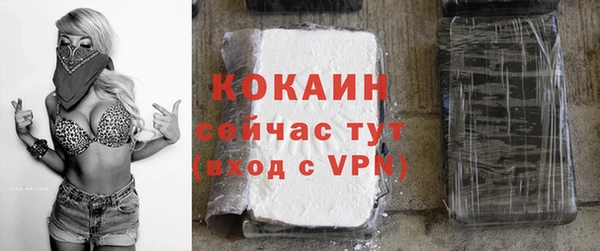 крисы Абаза