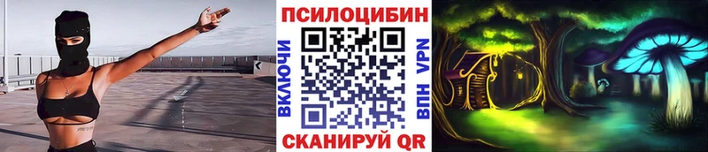 купить закладку  Рязань  Галлюциногенные грибы GOLDEN TEACHER 
