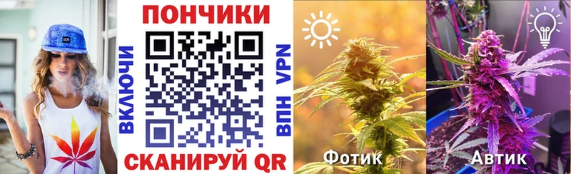 где можно купить наркотик  Рязань  Каннабис SATIVA & INDICA 